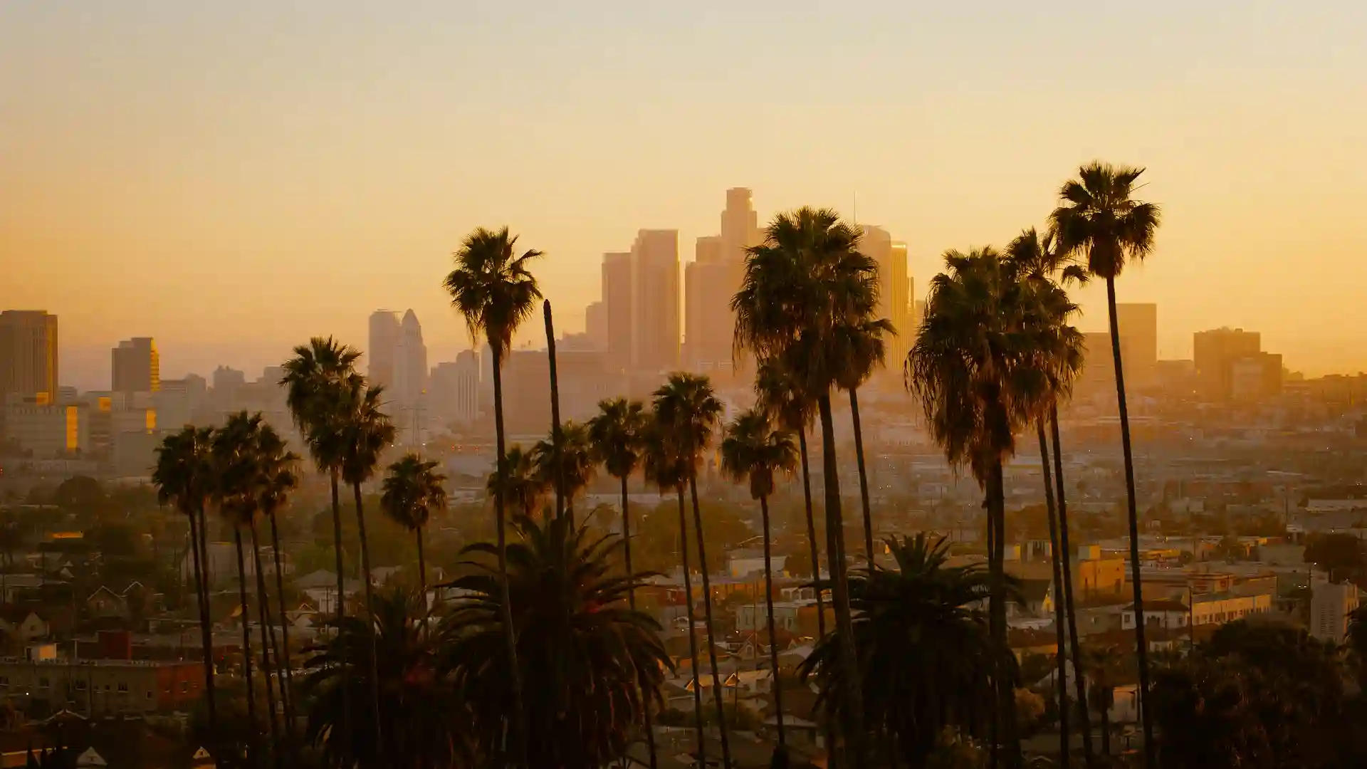 Belle vue de Los Angeles, entre palmiers et coucher de soleil.